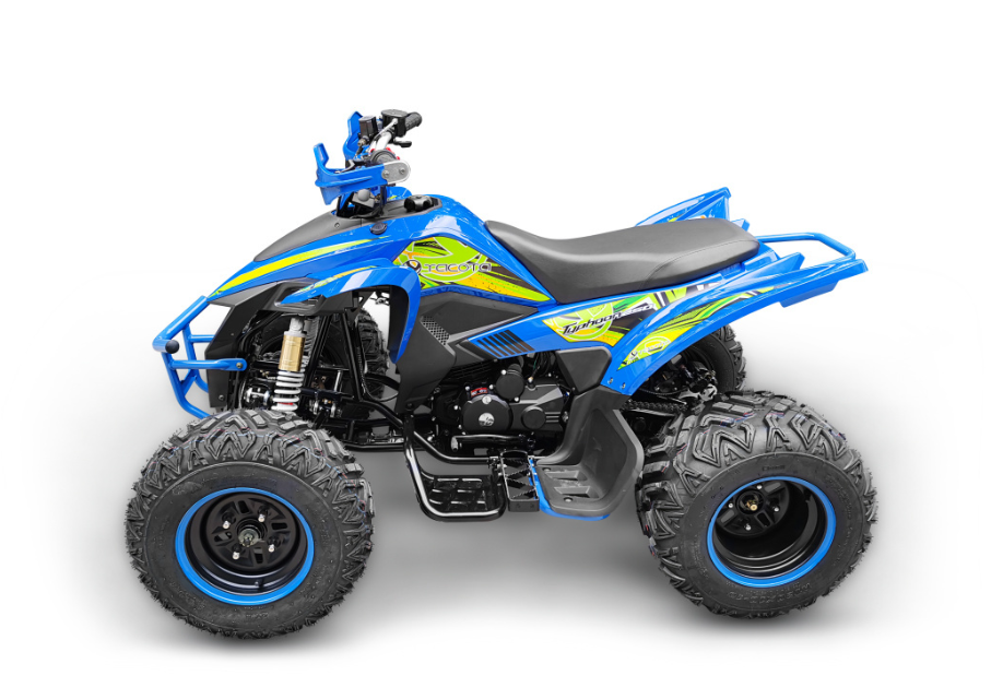 Квадроцикл YACOTA TYPHOON 250 в Димитровграде Квадроцикл YACOTA TYPHOON 250 в Димитровграде