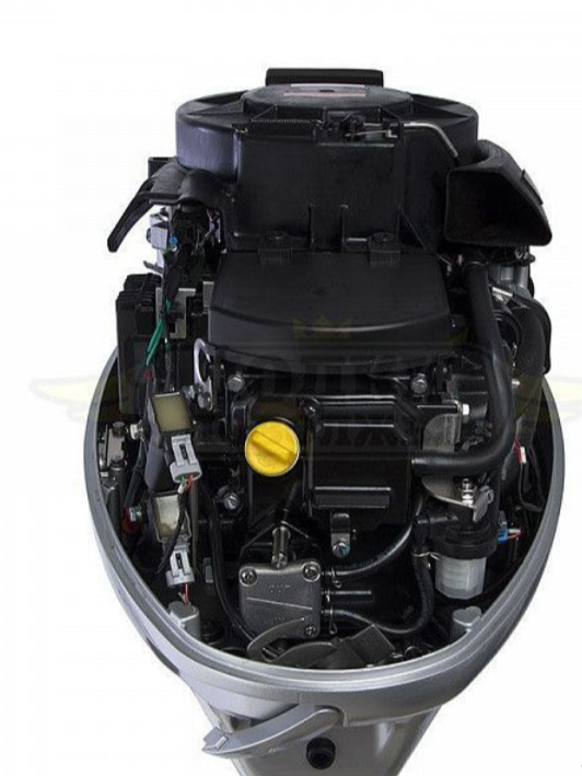 Лодочный мотор SEANOVO SNEF30FEL-EFI в Димитровграде Лодочный мотор SEANOVO SNEF30FEL-EFI в Димитровграде