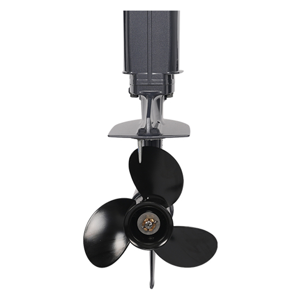 Лодочный мотор ALLFA CG T9.9(20) MAX Limit в Димитровграде Лодочный мотор ALLFA CG T9.9(20) MAX Limit в Димитровграде