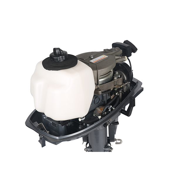 ЛОДОЧНЫЙ МОТОР ALLFA CG T5 в Димитровграде ЛОДОЧНЫЙ МОТОР ALLFA CG T5 в Димитровграде