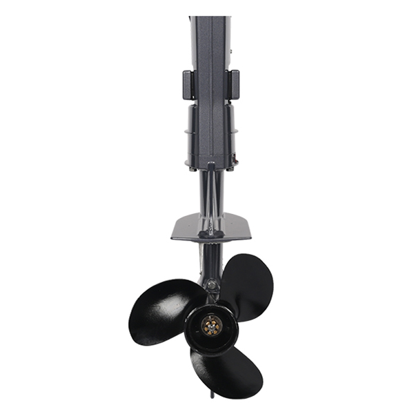 ЛОДОЧНЫЙ МОТОР ALLFA CG T9,8 Limit в Димитровграде ЛОДОЧНЫЙ МОТОР ALLFA CG T9,8 Limit в Димитровграде