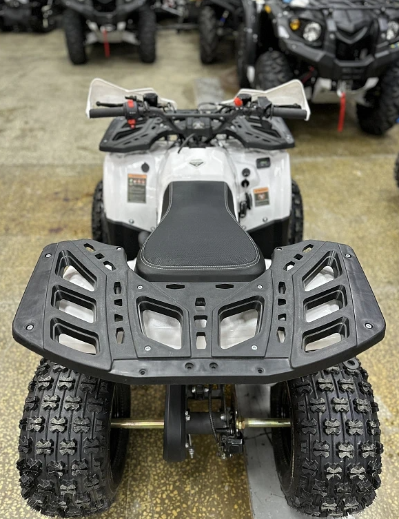 Квадроцикл PROMAX WILD 2.0 190 в Димитровграде Квадроцикл PROMAX WILD 2.0 190 в Димитровграде