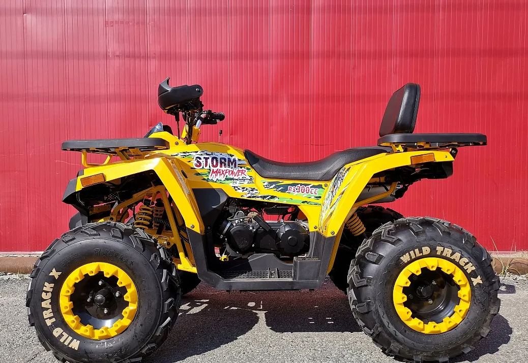 Квадроцикл PROMAX STORM 280 LUX в Димитровграде Квадроцикл PROMAX STORM 280 LUX в Димитровграде