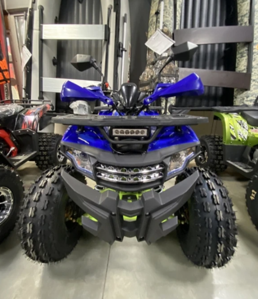 Квадроцикл PROMAX WILD 2.0 190 PRO (2025) в Димитровграде Квадроцикл PROMAX WILD 2.0 190 PRO (2025) в Димитровграде