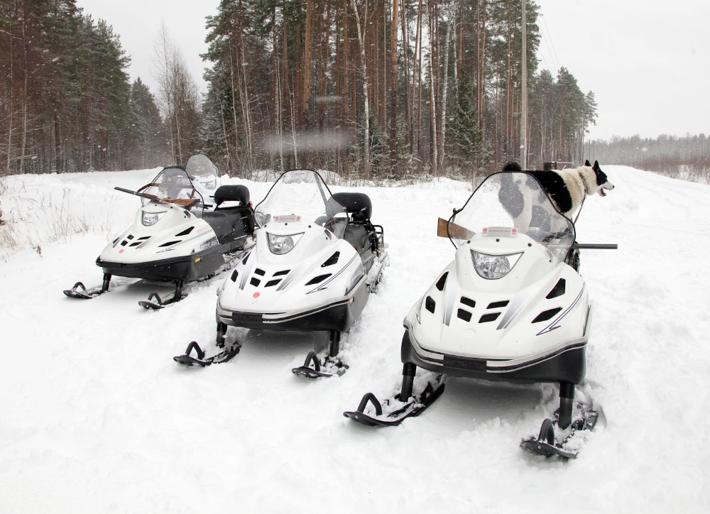 СНЕГОХОД РМ ТАЙГА ВАРЯГ 550 V в Димитровграде СНЕГОХОД РМ ТАЙГА ВАРЯГ 550 V в Димитровграде