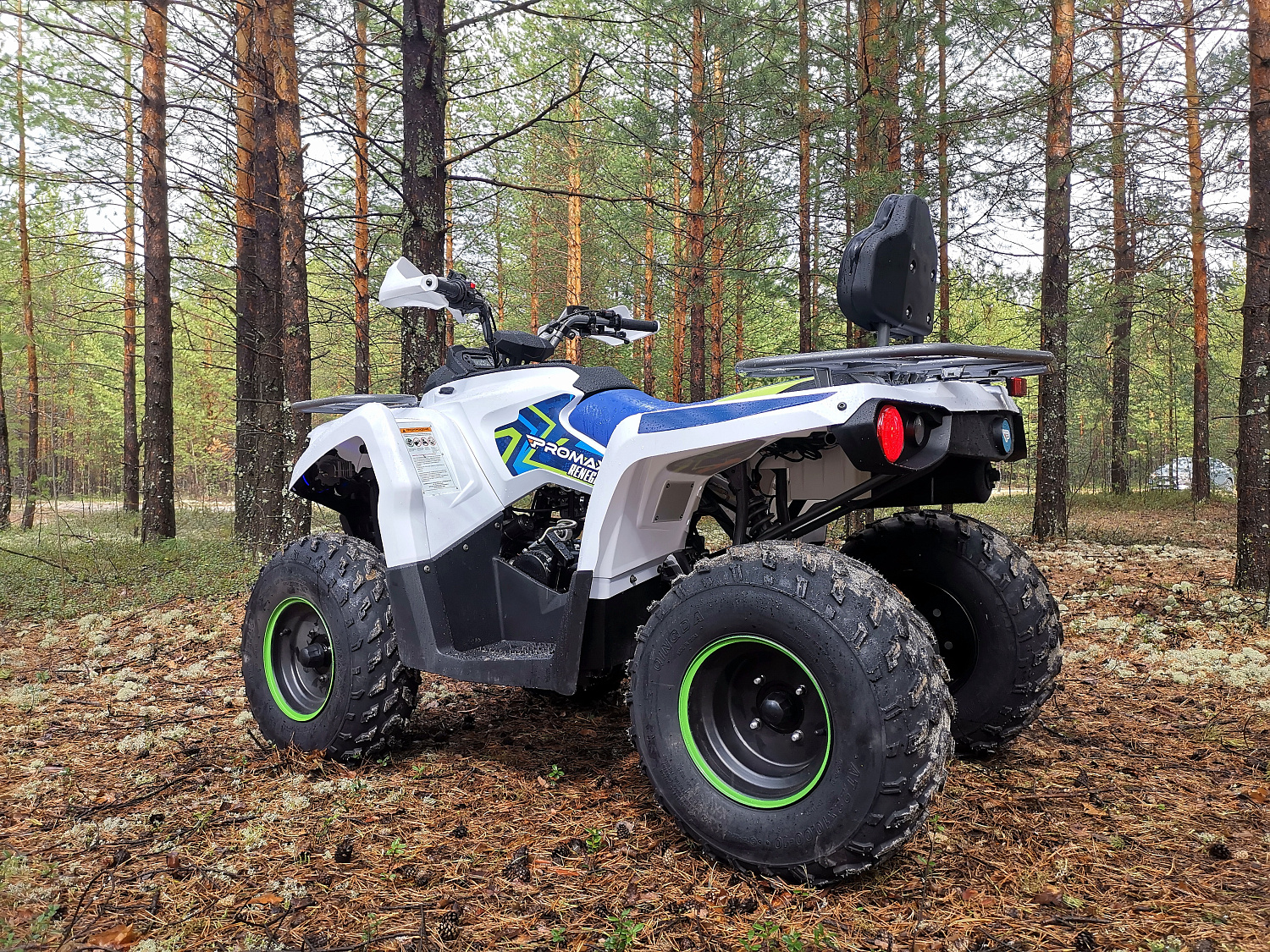 Квадроцикл PROMAX RENEGADE 280 (2025) в Димитровграде Квадроцикл PROMAX RENEGADE 280 (2025) в Димитровграде