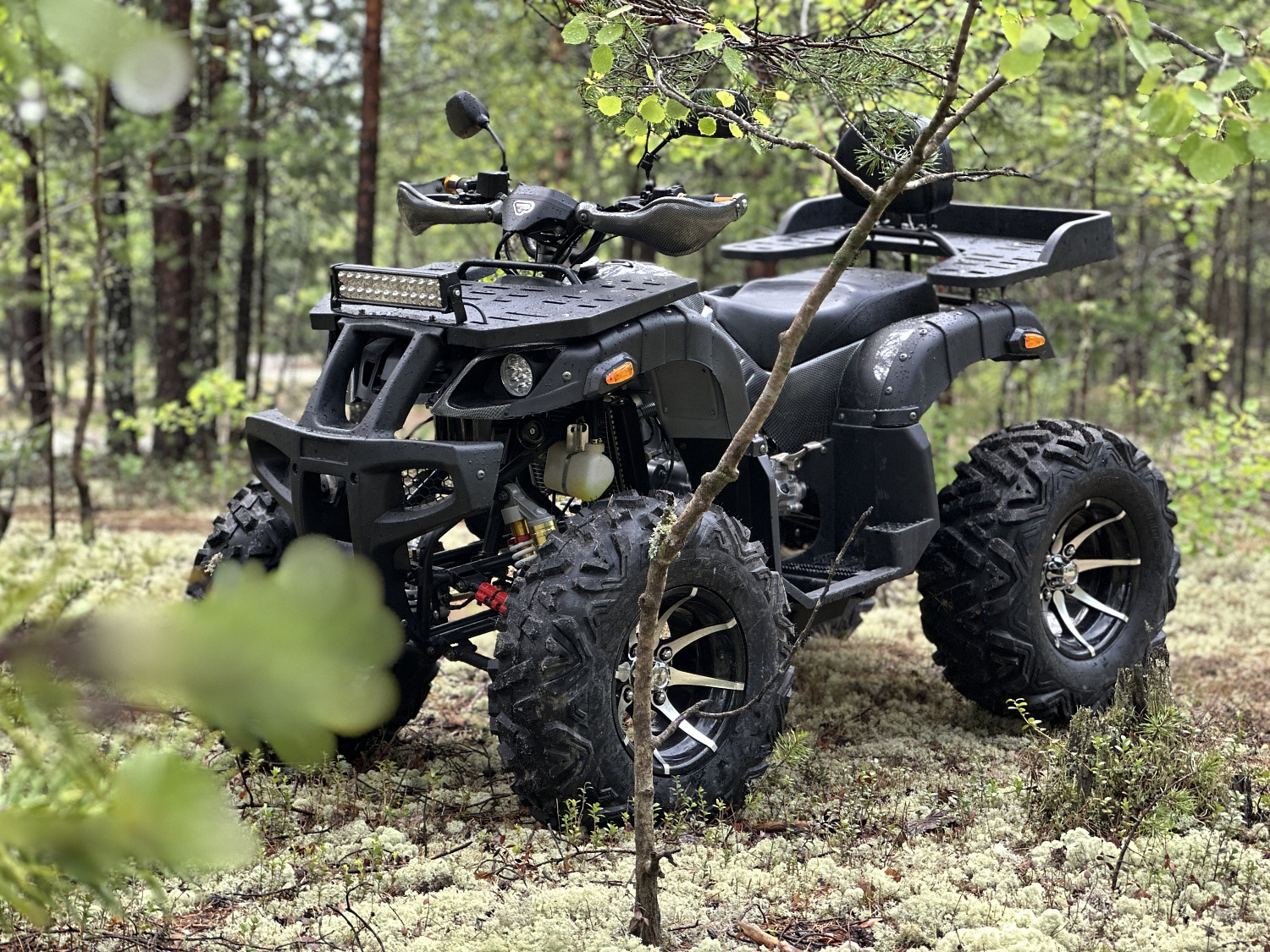 Квадроцикл PROMAX 320 DOMINATOR (2025) в Димитровграде Квадроцикл PROMAX 320 DOMINATOR (2025) в Димитровграде