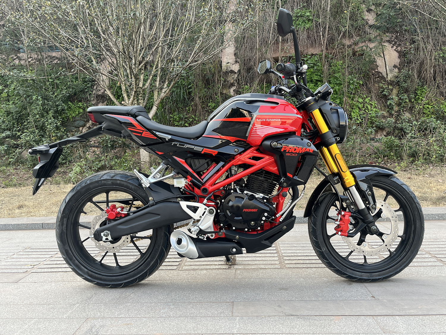 Мотоцикл PROMAX CB300 в Димитровграде