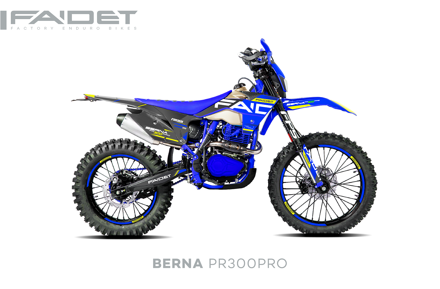 Кроссовый мотоцикл FAIDET BERNA PR300-PRO FPS в Димитровграде Кроссовый мотоцикл FAIDET BERNA PR300-PRO FPS в Димитровграде