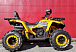 Квадроцикл PROMAX STORM 280 LUX в Димитровграде Квадроцикл PROMAX STORM 280 LUX в Димитровграде