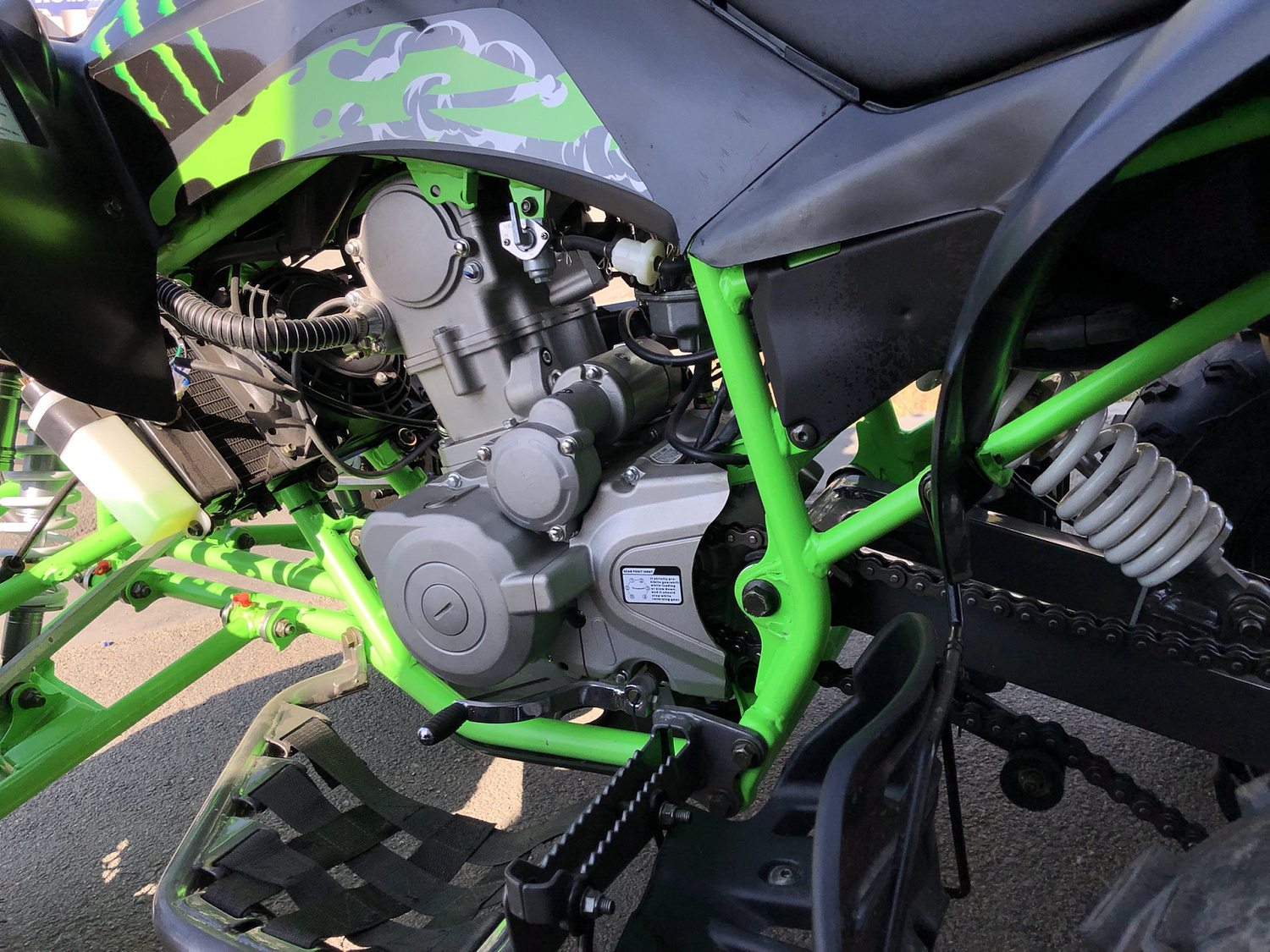 Квадроцикл PROMAX RAPTOR 300 NEW Monster в Димитровграде