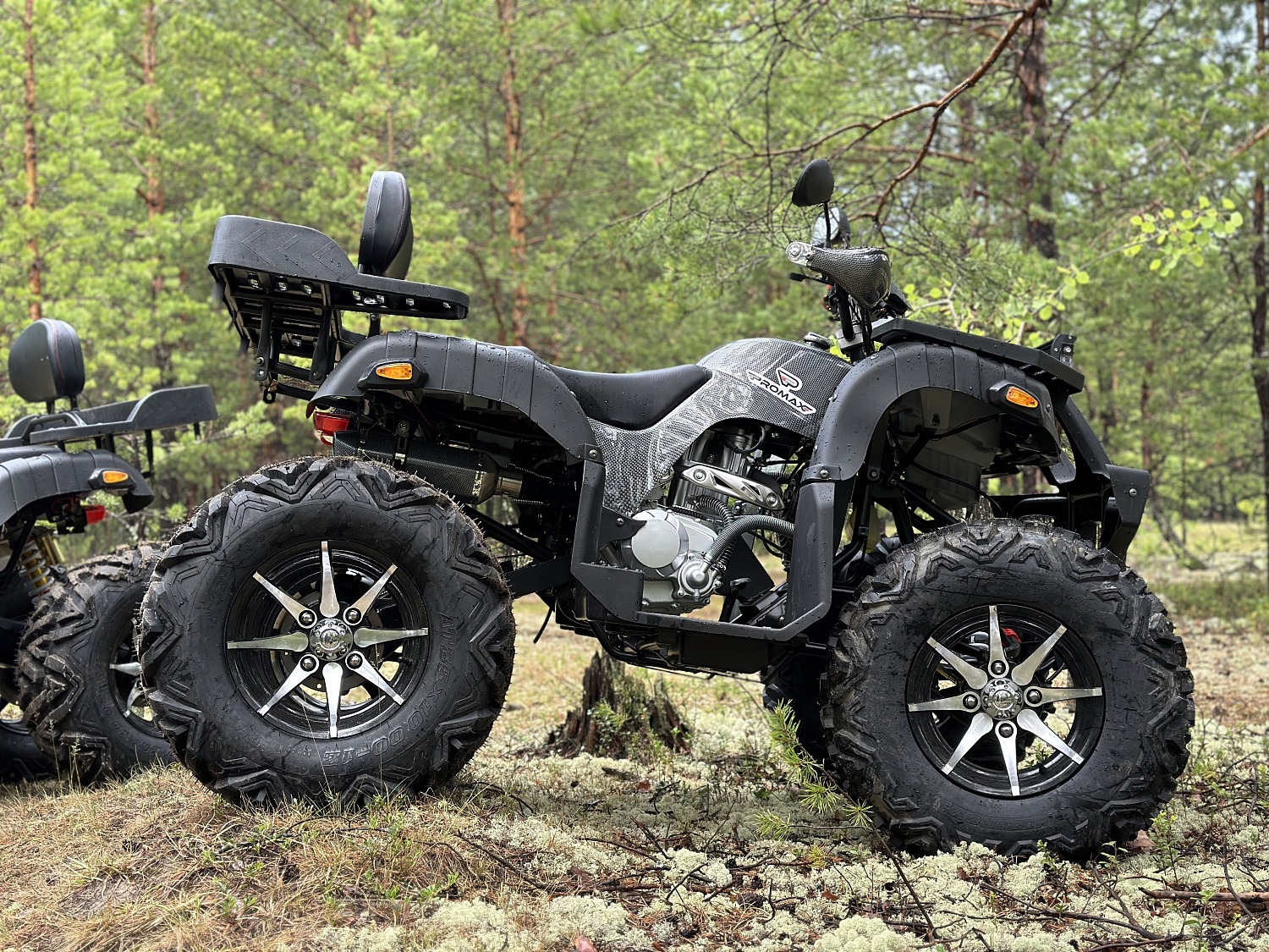 Квадроцикл PROMAX 320 DOMINATOR (2025) в Димитровграде Квадроцикл PROMAX 320 DOMINATOR (2025) в Димитровграде