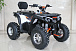 Квадроцикл GBM STORMRIDER 320 PREMIUM в Димитровграде
