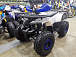 Квадроцикл PROMAX WILD 175 LUX в Димитровграде Квадроцикл PROMAX WILD 175 LUX в Димитровграде