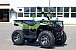 Квадроцикл IRBIS ATV 200 LUX (+лебедка) в Димитровграде Квадроцикл IRBIS ATV 200 LUX (+лебедка) в Димитровграде