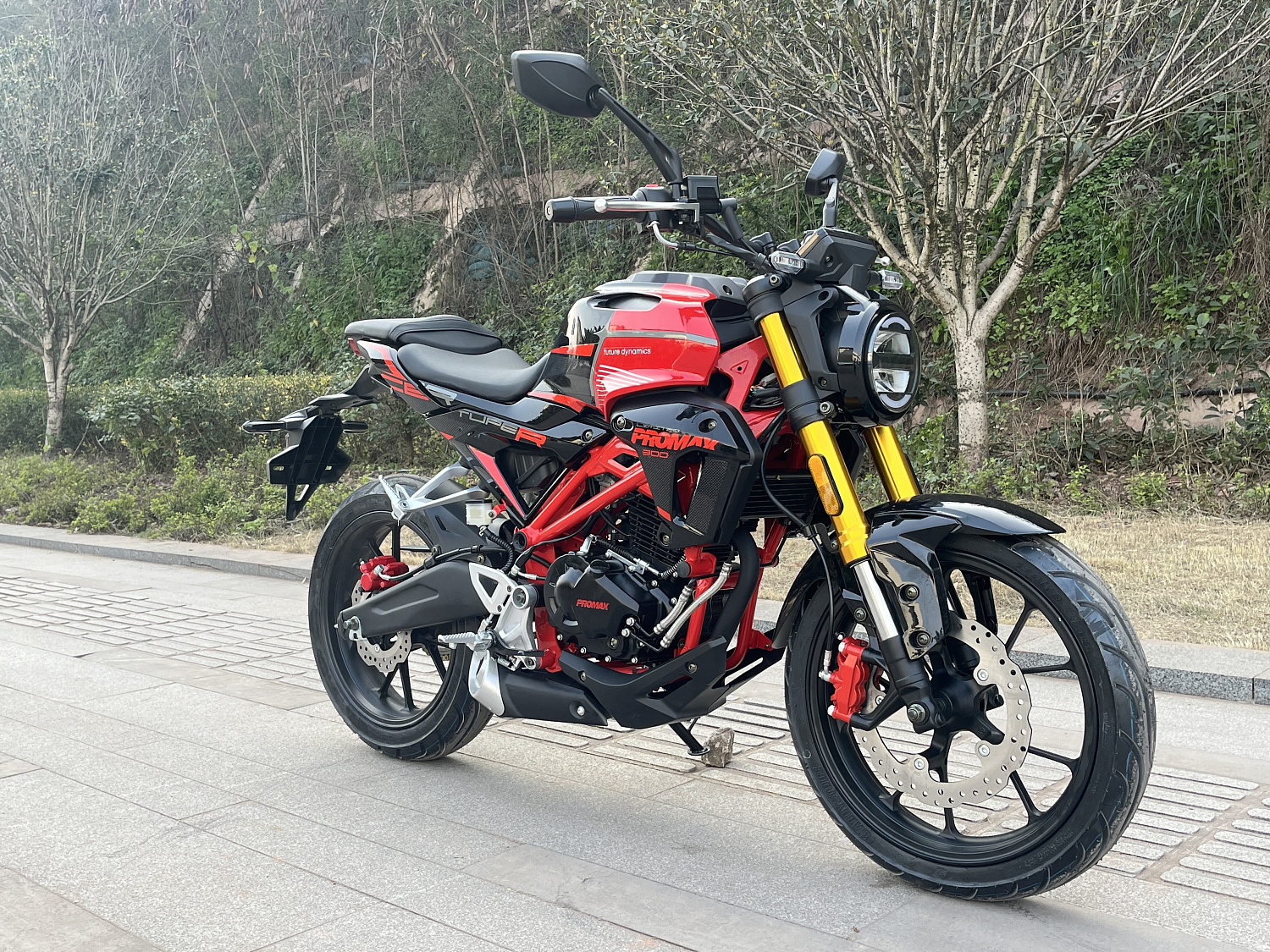 Мотоцикл PROMAX CB300 в Димитровграде