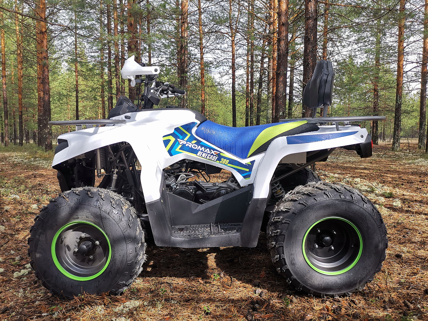 Квадроцикл PROMAX RENEGADE 280 (2025) в Димитровграде Квадроцикл PROMAX RENEGADE 280 (2025) в Димитровграде
