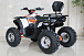 Квадроцикл GBM STORMRIDER 320 PREMIUM в Димитровграде