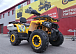 Квадроцикл PROMAX STORM 280 LUX в Димитровграде Квадроцикл PROMAX STORM 280 LUX в Димитровграде