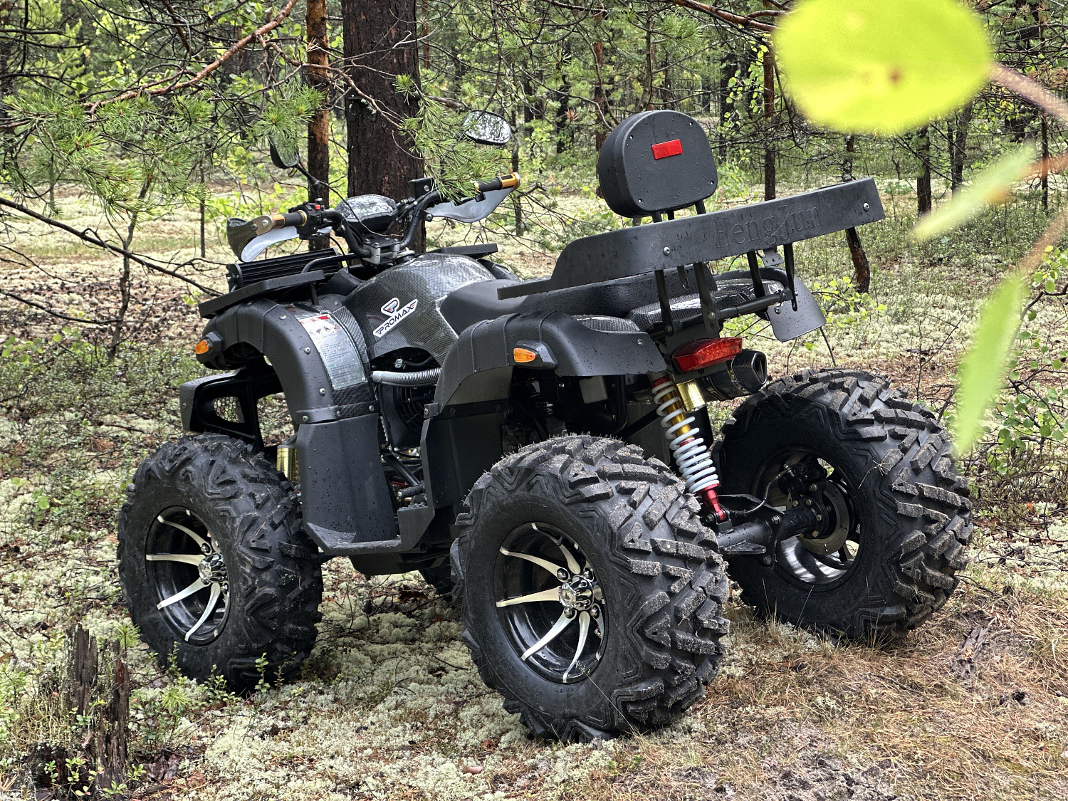 Квадроцикл PROMAX 320 DOMINATOR (2025) в Димитровграде Квадроцикл PROMAX 320 DOMINATOR (2025) в Димитровграде