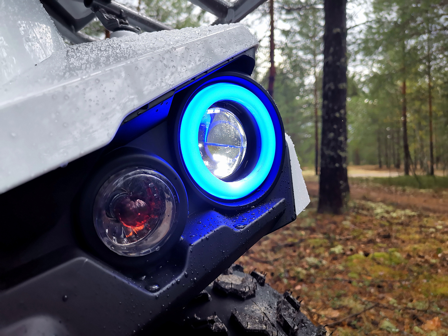 Квадроцикл PROMAX RENEGADE 280 (2025) в Димитровграде Квадроцикл PROMAX RENEGADE 280 (2025) в Димитровграде