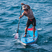 SUP (САП) Доска MISHIMO NAOMI PRO 12 в Димитровграде SUP (САП) Доска MISHIMO NAOMI PRO 12 в Димитровграде