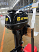 Лодочный мотор STELS 9.9HP в Димитровграде Лодочный мотор STELS 9.9HP в Димитровграде