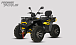 Квадроцикл PROMAX TAURUS 300 MAX-PRO LONG в Димитровграде Квадроцикл PROMAX TAURUS 300 MAX-PRO LONG в Димитровграде